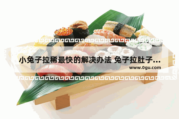小兔子拉稀最快的解决办法 兔子拉肚子怎么办