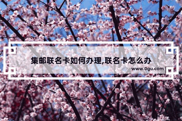 集邮联名卡如何办理,联名卡怎么办