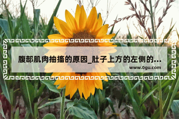 腹部肌肉抽搐的原因_肚子上方的左侧的肋骨像抽筋一样的疼怎么办