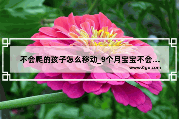 不会爬的孩子怎么移动_9个月宝宝不会爬怎样训练