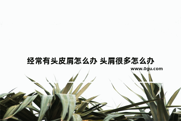 经常有头皮屑怎么办 头屑很多怎么办