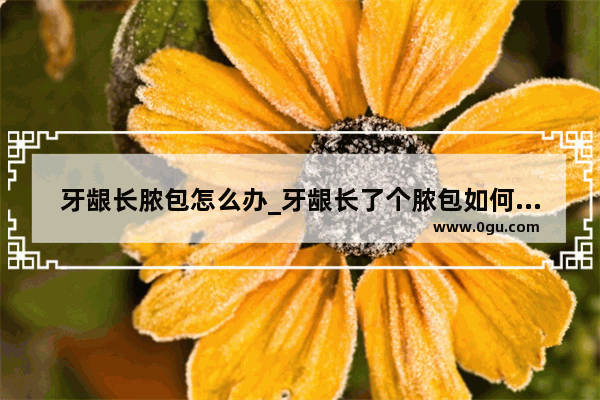 牙龈长脓包怎么办_牙龈长了个脓包如何处理