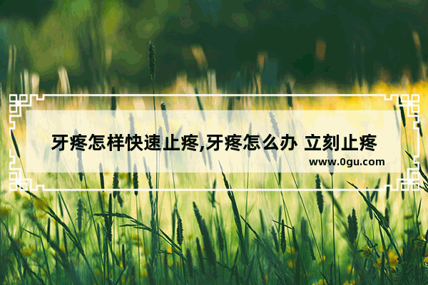 牙疼怎样快速止疼,牙疼怎么办 立刻止疼