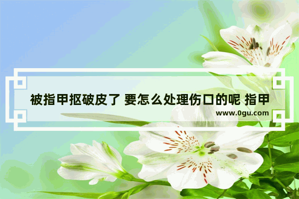 被指甲抠破皮了 要怎么处理伤口的呢 指甲破了怎么办