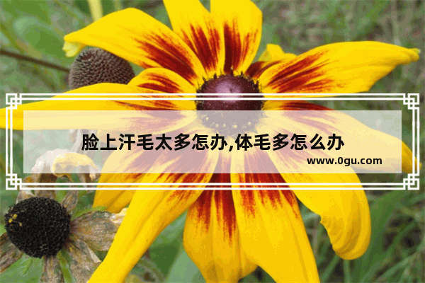 脸上汗毛太多怎办,体毛多怎么办
