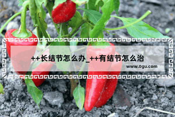 ++长结节怎么办_++有结节怎么治
