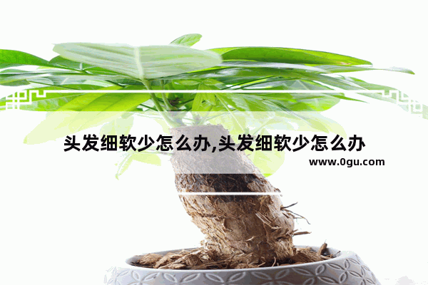 头发细软少怎么办,头发细软少怎么办