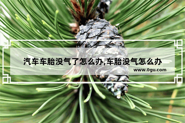 汽车车胎没气了怎么办,车胎没气怎么办