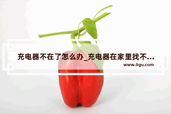 充电器不在了怎么办_充电器在家里找不到了怎么办