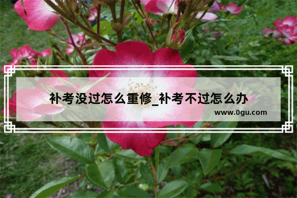 补考没过怎么重修_补考不过怎么办