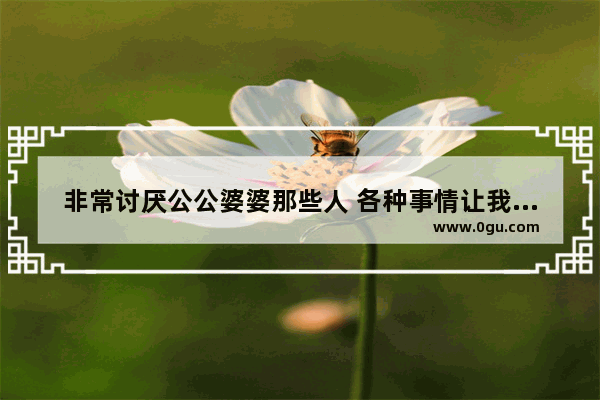 非常讨厌公公婆婆那些人 各种事情让我很厌恶他们 怎么办,讨厌公公怎么办