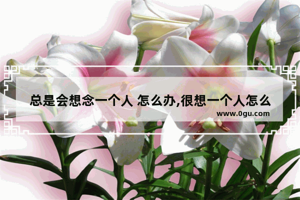 总是会想念一个人 怎么办,很想一个人怎么办