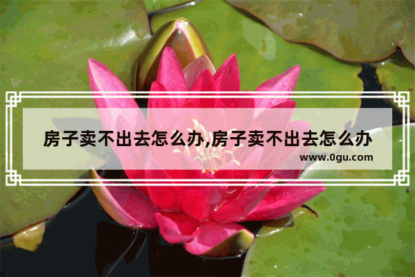 房子卖不出去怎么办,房子卖不出去怎么办