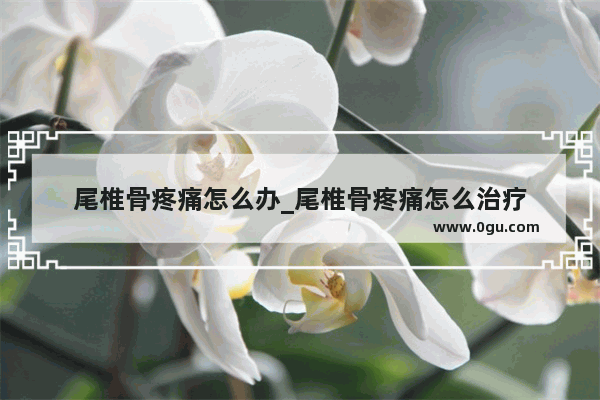 尾椎骨疼痛怎么办_尾椎骨疼痛怎么治疗