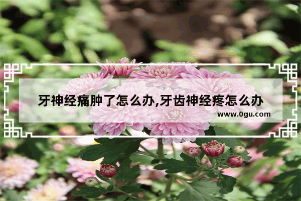 牙神经痛肿了怎么办,牙齿神经疼怎么办