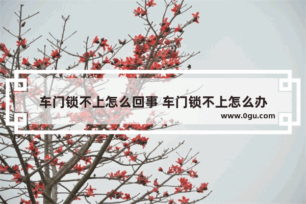 车门锁不上怎么回事 车门锁不上怎么办