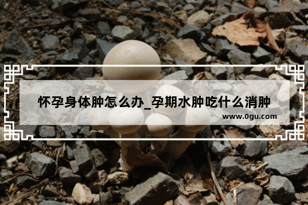 怀孕身体肿怎么办_孕期水肿吃什么消肿