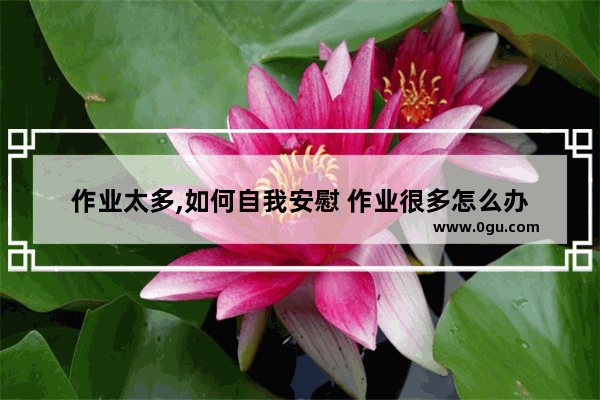 作业太多,如何自我安慰 作业很多怎么办