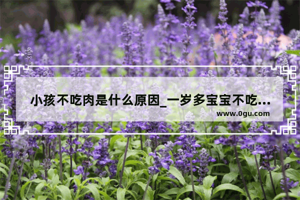 小孩不吃肉是什么原因_一岁多宝宝不吃肉怎么做给她吃