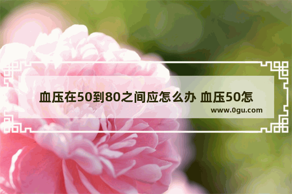 血压在50到80之间应怎么办 血压50怎么办