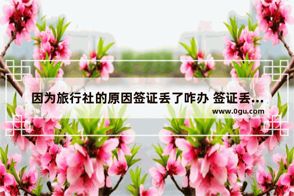 因为旅行社的原因签证丢了咋办 签证丢了怎么办