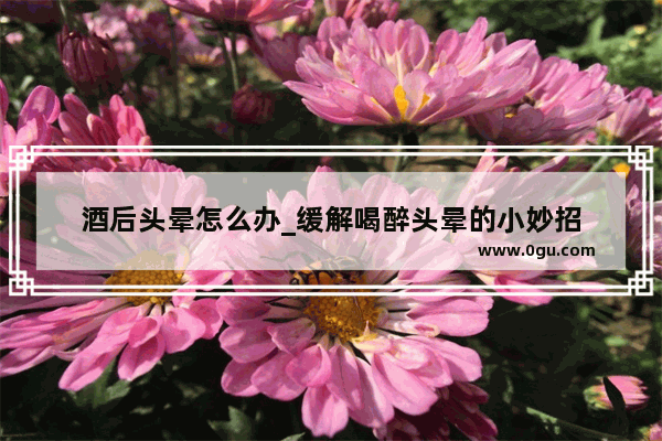 酒后头晕怎么办_缓解喝醉头晕的小妙招