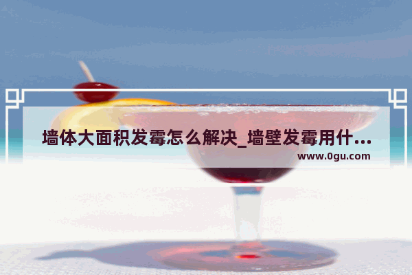 墙体大面积发霉怎么解决_墙壁发霉用什么擦