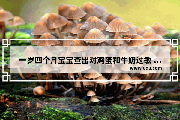 一岁四个月宝宝查出对鸡蛋和牛奶过敏 有其他的方法可以补充营养,一岁宝宝过敏怎么办