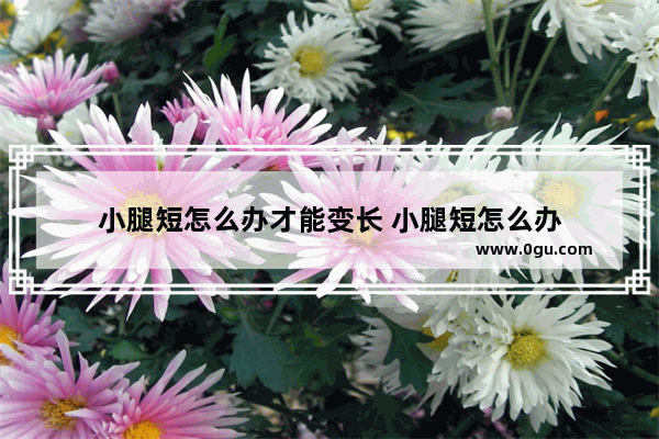 小腿短怎么办才能变长 小腿短怎么办