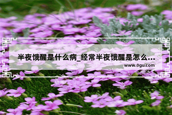 半夜饿醒是什么病_经常半夜饿醒是怎么回事