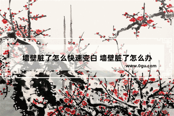 墙壁脏了怎么快速变白 墙壁脏了怎么办