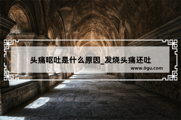 头痛呕吐是什么原因_发烧头痛还吐