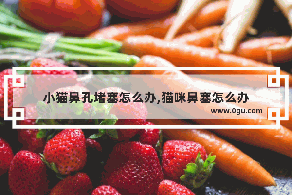 小猫鼻孔堵塞怎么办,猫咪鼻塞怎么办