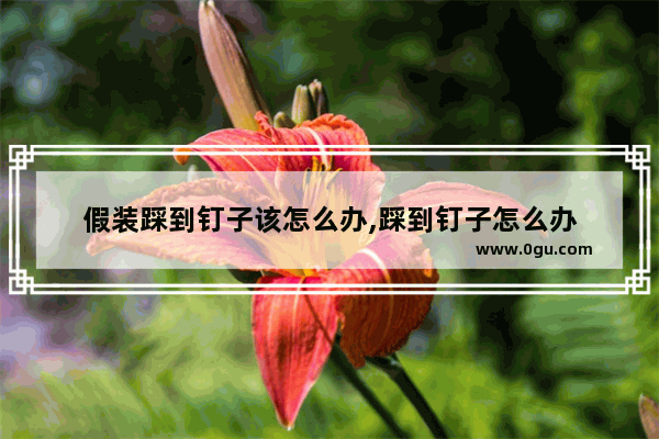 假装踩到钉子该怎么办,踩到钉子怎么办