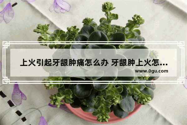 上火引起牙龈肿痛怎么办 牙龈肿上火怎么办