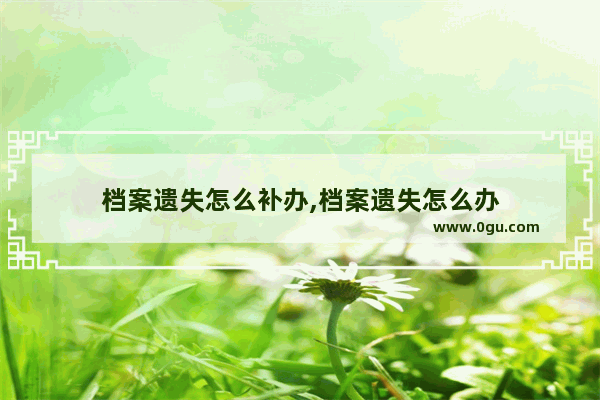 档案遗失怎么补办,档案遗失怎么办