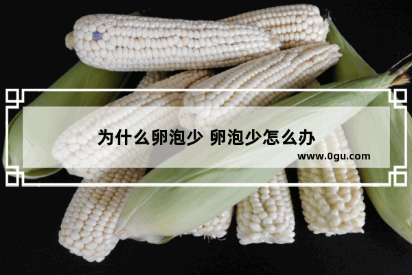 为什么卵泡少 卵泡少怎么办