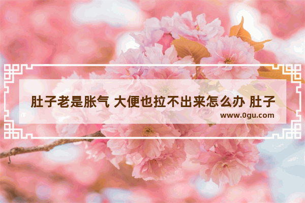 肚子老是胀气 大便也拉不出来怎么办 肚子疼拉不出怎么办