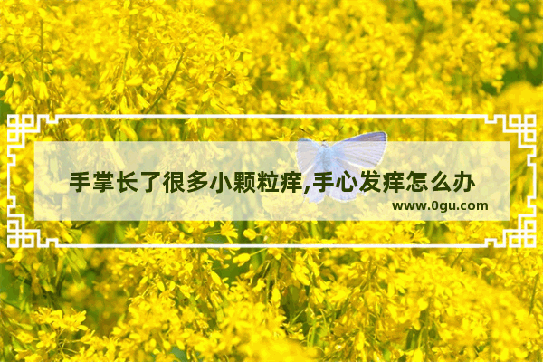 手掌长了很多小颗粒痒,手心发痒怎么办