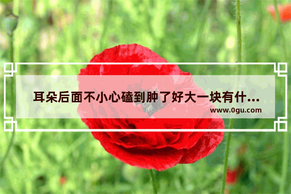 耳朵后面不小心磕到肿了好大一块有什么办法能消肿 耳垂肿了怎么办