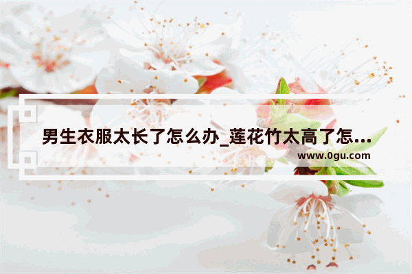 男生衣服太长了怎么办_莲花竹太高了怎么修剪