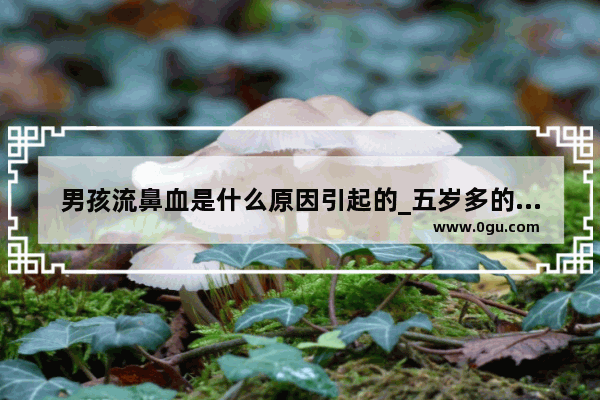 男孩流鼻血是什么原因引起的_五岁多的男孩出鼻血怎么办