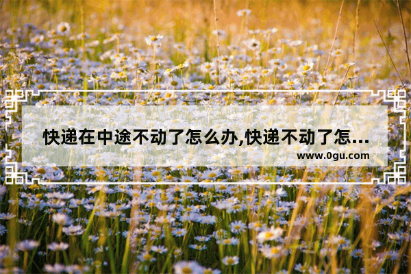 快递在中途不动了怎么办,快递不动了怎么办