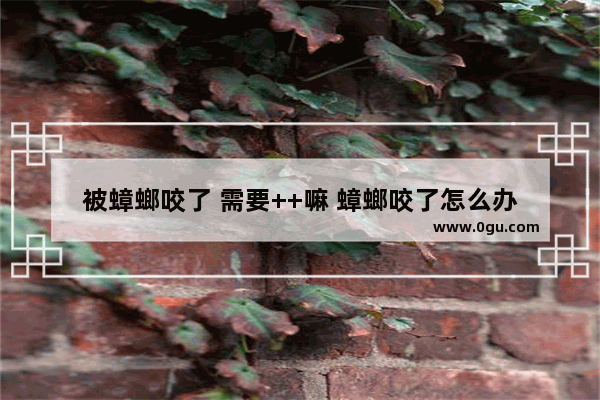 被蟑螂咬了 需要++嘛 蟑螂咬了怎么办