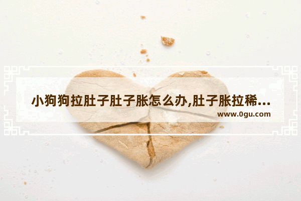 小狗狗拉肚子肚子胀怎么办,肚子胀拉稀怎么办