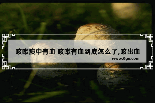咳嗽痰中有血 咳嗽有血到底怎么了,咳出血了怎么办
