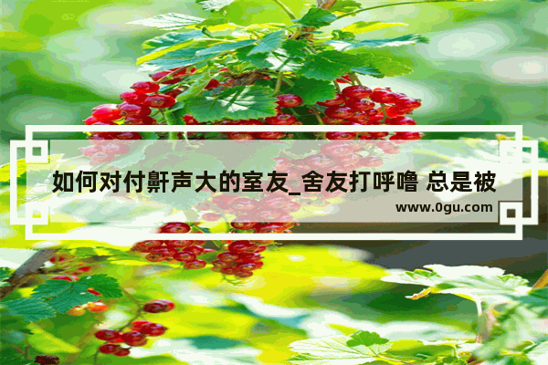 如何对付鼾声大的室友_舍友打呼噜 总是被吵醒 怎么办