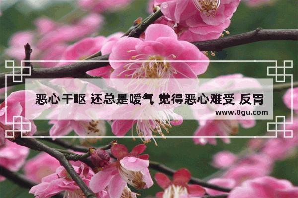 恶心干呕 还总是嗳气 觉得恶心难受 反胃干呕怎么办