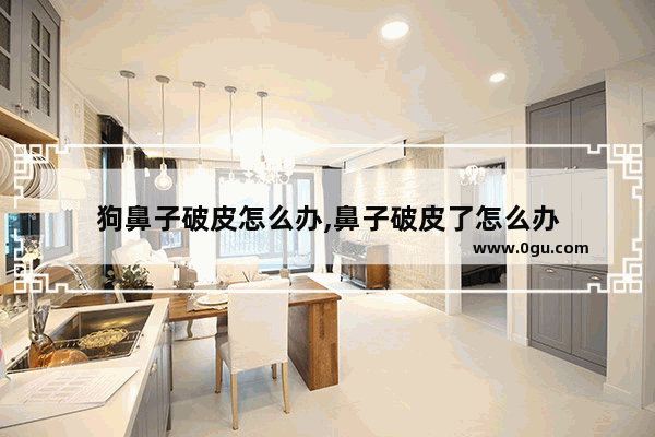 狗鼻子破皮怎么办,鼻子破皮了怎么办