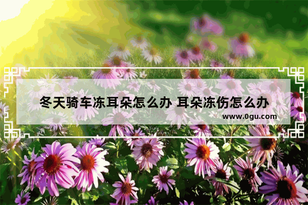 冬天骑车冻耳朵怎么办 耳朵冻伤怎么办